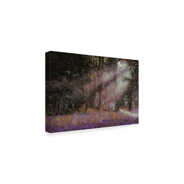 Guido Borelli 'Luci' Canvas Art,22x32